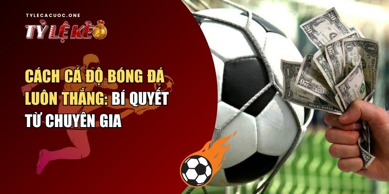 cách cá độ bóng đá luôn thắng