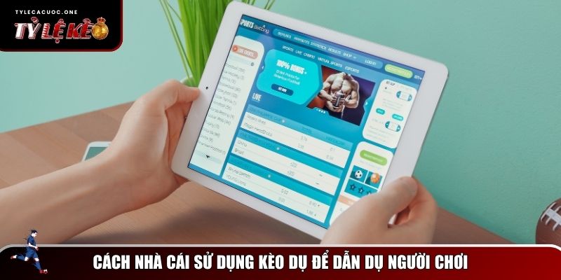Kèo Dụ Là Gì? Cách Nhận Biết Và Tránh Bẫy Nhà Cái Hiệu Quả 2 Phân tích cách nhà cái sử dụng kèo dụ để dẫn dụ người chơi