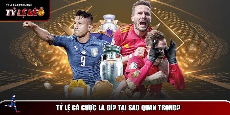 Tỷ lệ cá cược là yếu tố cốt lõi trong cá độ thể thao